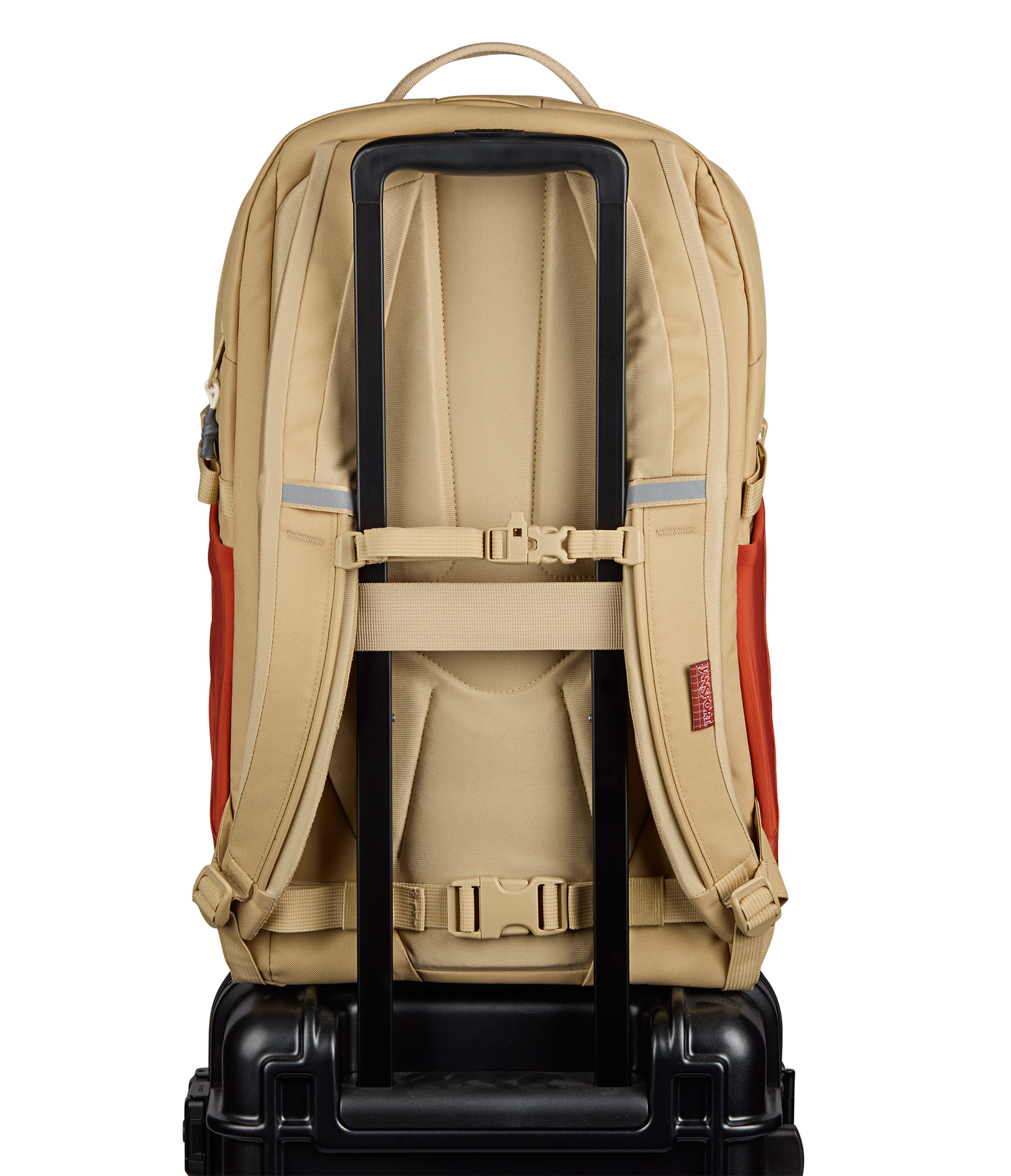 JS0A86ERDF9-BACK